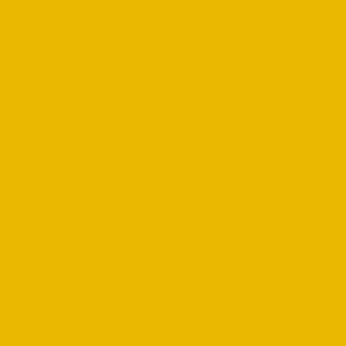 Fiesta_Color_Giallo